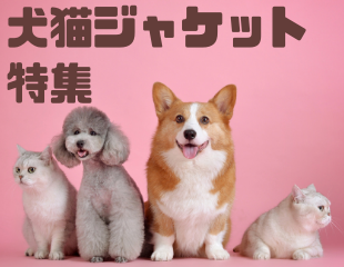 犬猫ジャケット特集