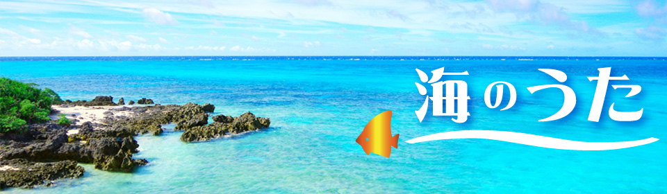 「海のうた」特集